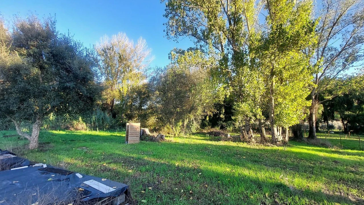 Terreno para Venda em Arrouquelas Foto 6