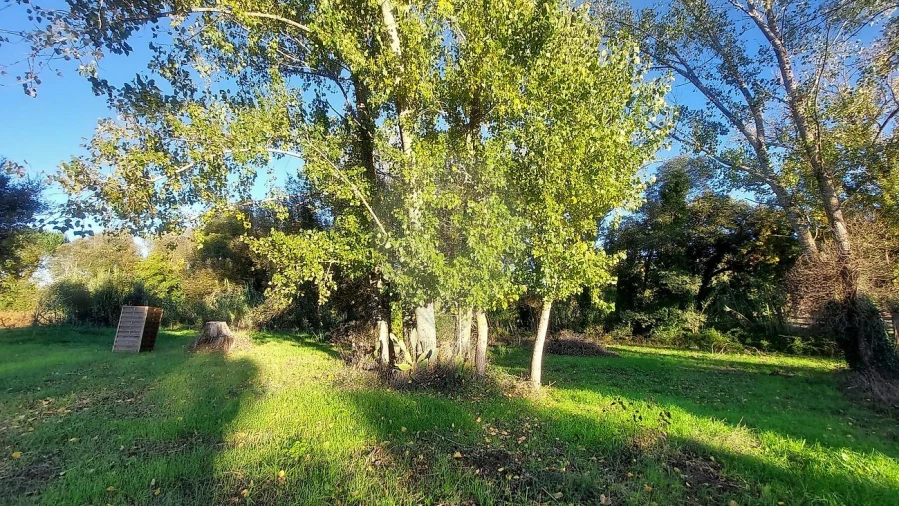 Terreno para Venda em Arrouquelas Foto 7