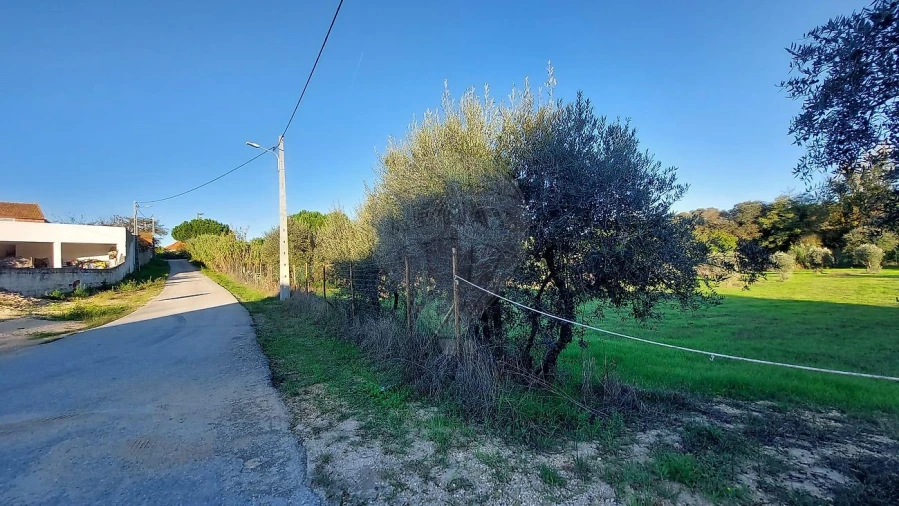 Terreno para Venda em Arrouquelas Foto 9