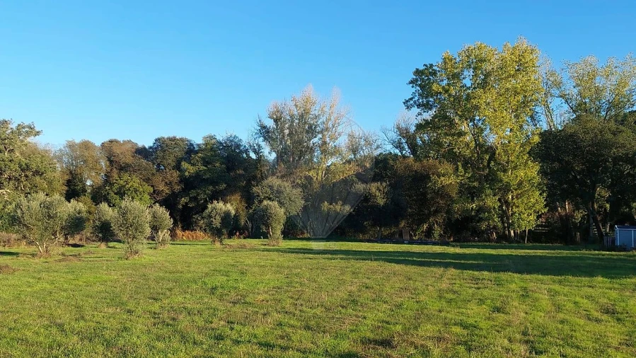 Terreno para Venda em Arrouquelas Foto 1