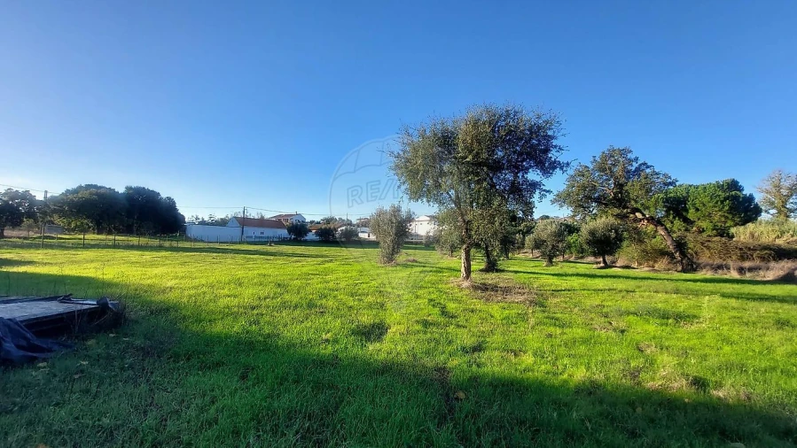 Terreno para Venda em Arrouquelas Foto 8