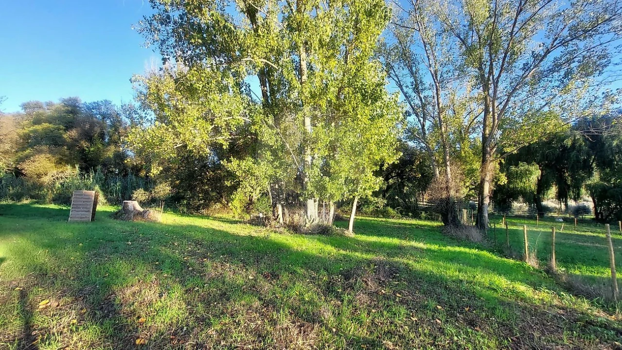 Terreno para Venda em Arrouquelas Foto 4