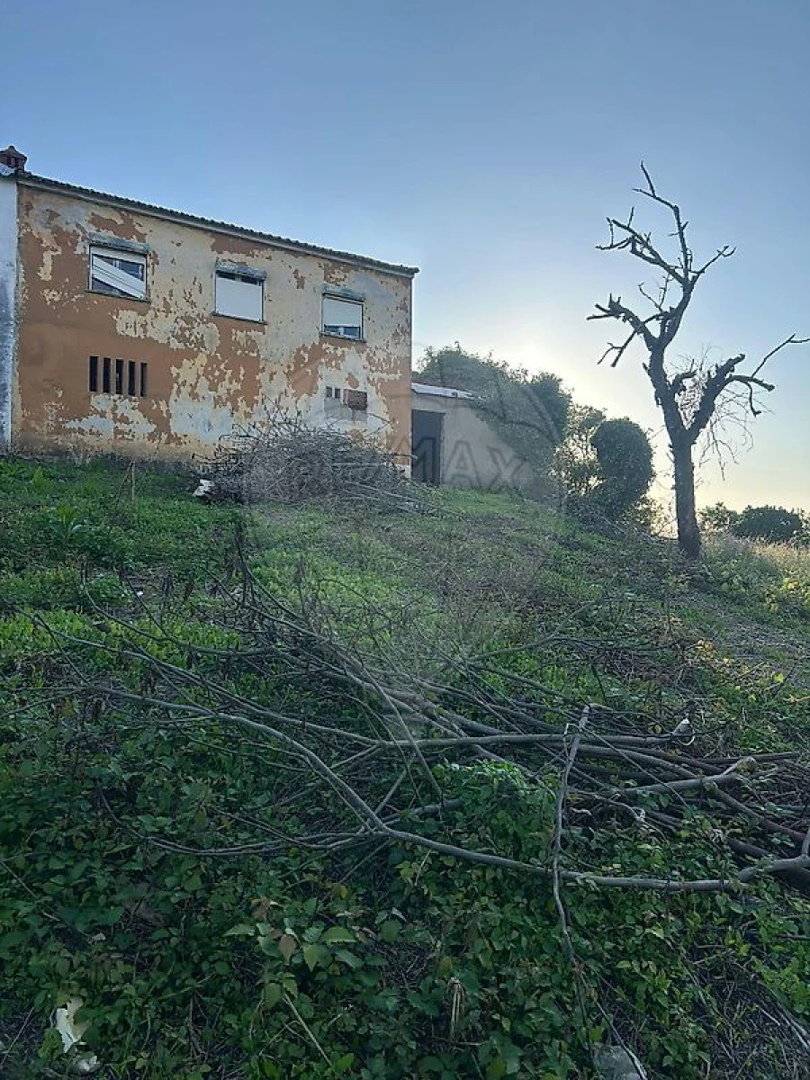 Moradia T3 para Venda em Eiras e São Paulo de Frades Foto 5
