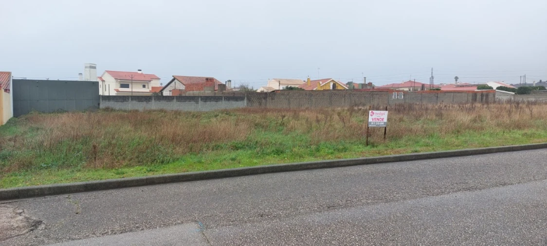 Terreno para Venda em Vieira de Leiria Foto 3