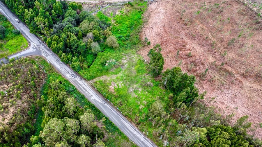 Terreno para Venda em Rio Meão Foto 14