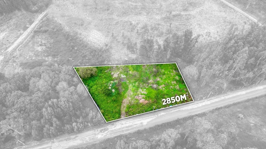 Terreno para Venda em Rio Meão Foto 16