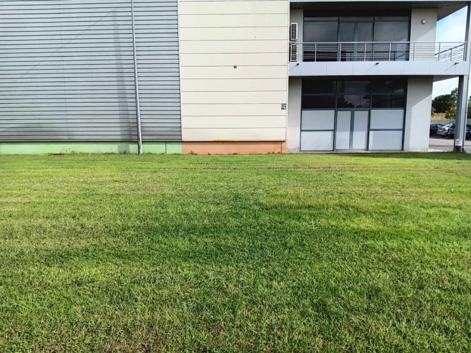 Armazém para Venda em Gambia-Pontes-Alto da Guerra Foto 24