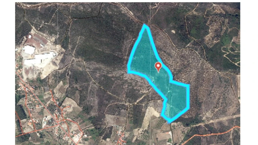 Terreno Agricola ou Rústico para Venda em Mação, Penhascoso e Aboboreira Foto 15