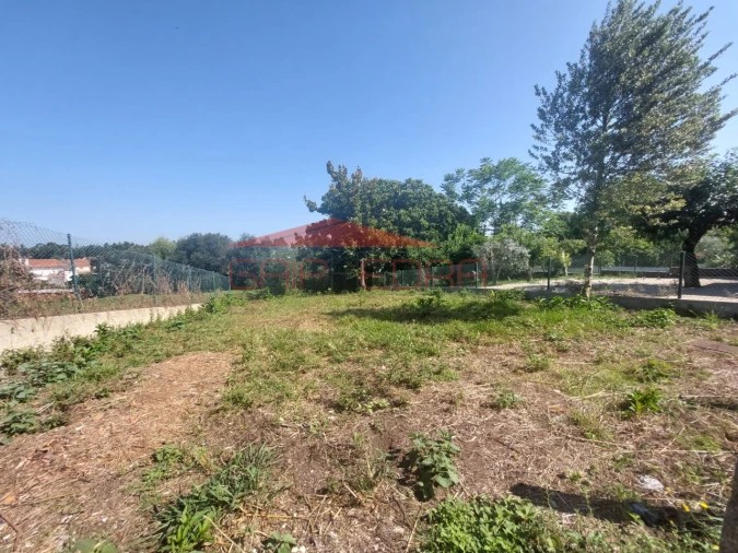 Moradia T3 para Venda em Branca Foto 4