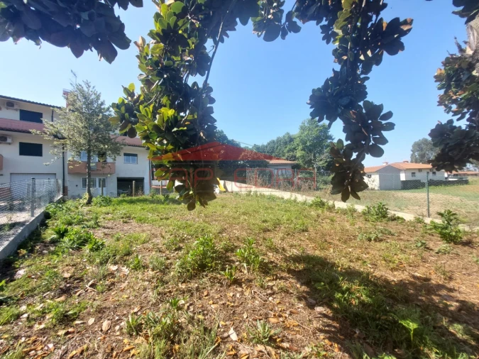 Moradia T3 para Venda em Branca Foto 30