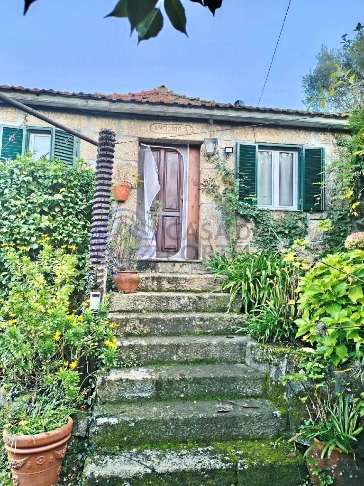 Quinta T3 para Venda em Oliveira do Douro Foto 2