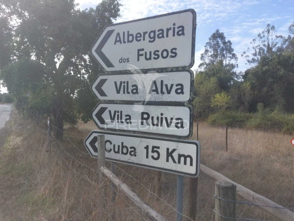 Quinta T3 para Venda em Alvito Foto 19