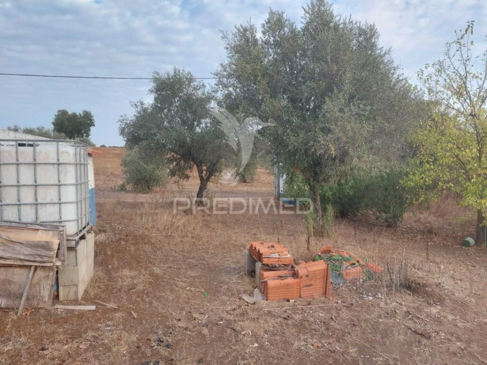 Quinta T3 para Venda em Alvito Foto 7