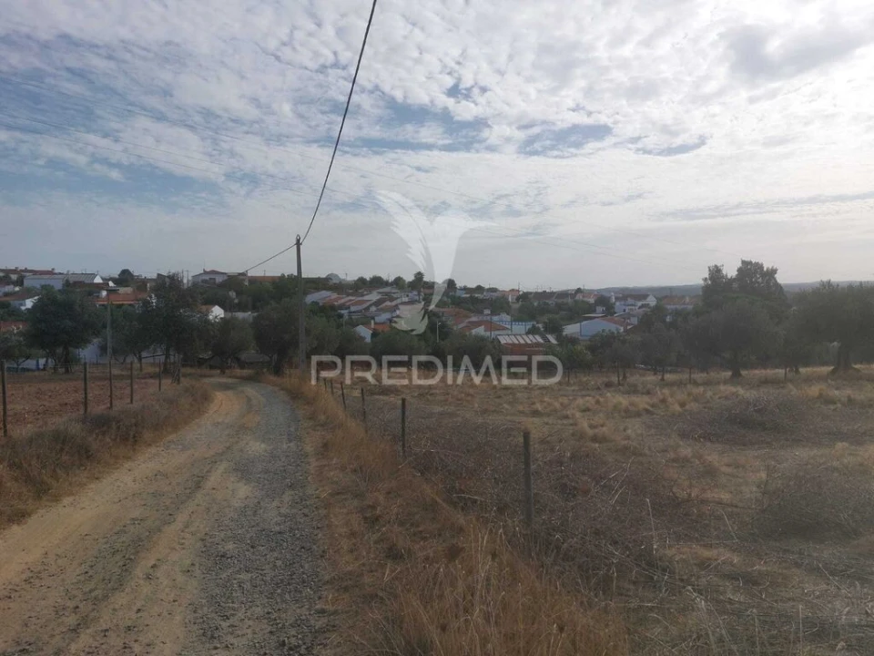 Quinta T3 para Venda em Alvito Foto 15