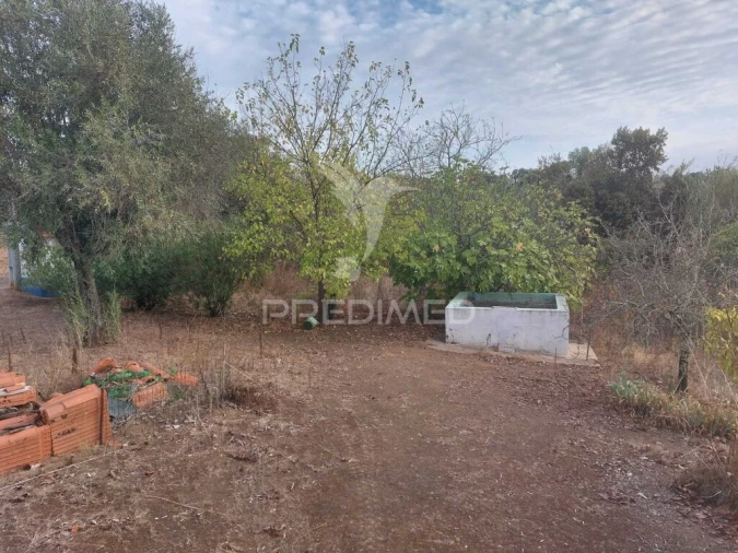 Quinta T3 para Venda em Alvito Foto 5