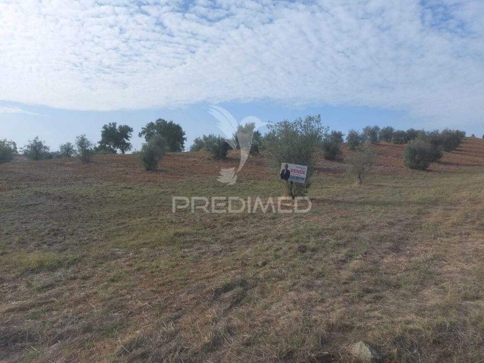 Quinta T3 para Venda em Alvito Foto 14