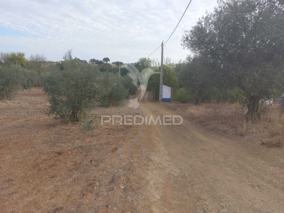 Quinta T3 para Venda em Alvito Foto 11