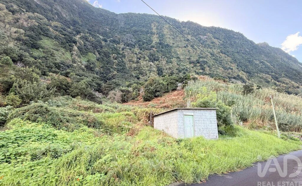 Terreno para Venda em São Vicente Foto 3