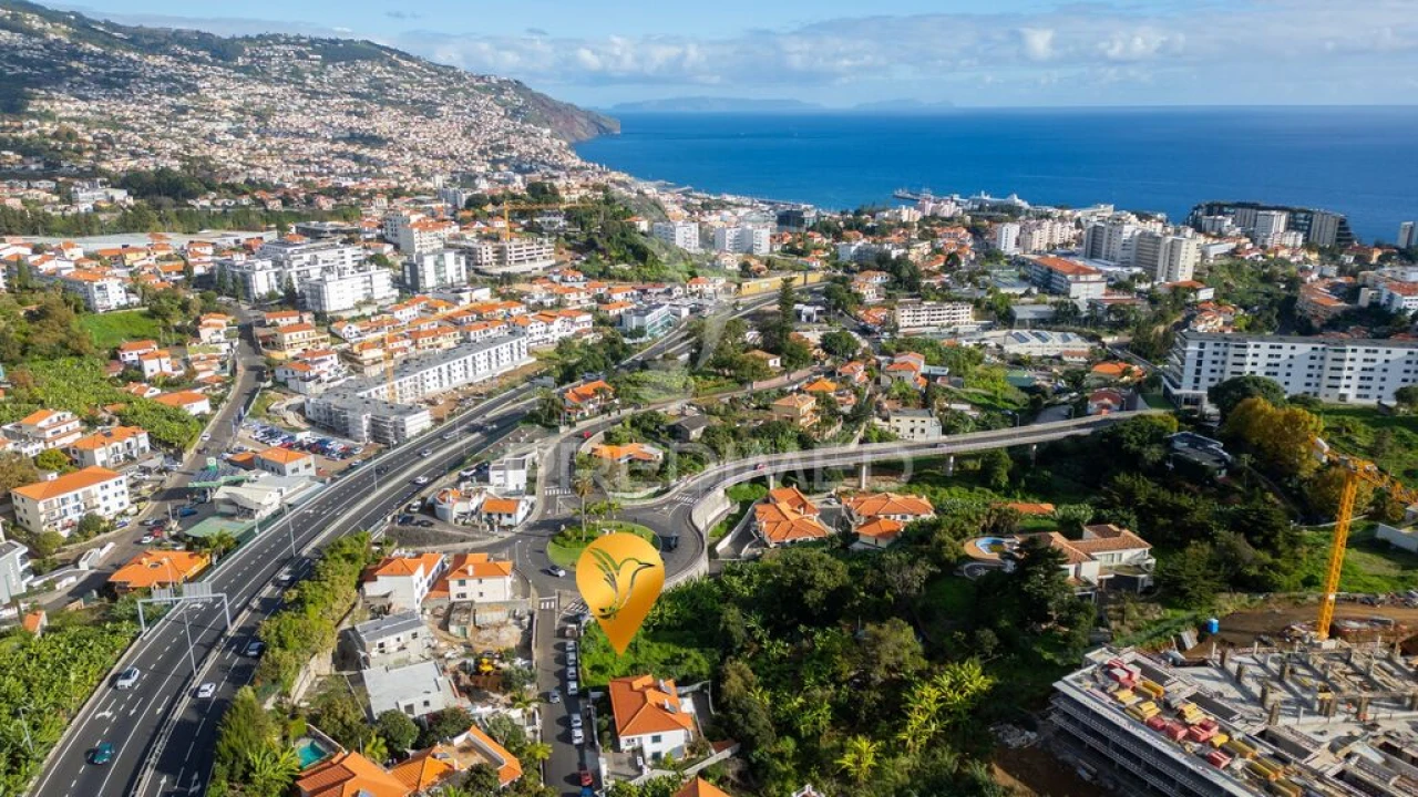 Terreno para Venda em São Martinho Foto 15