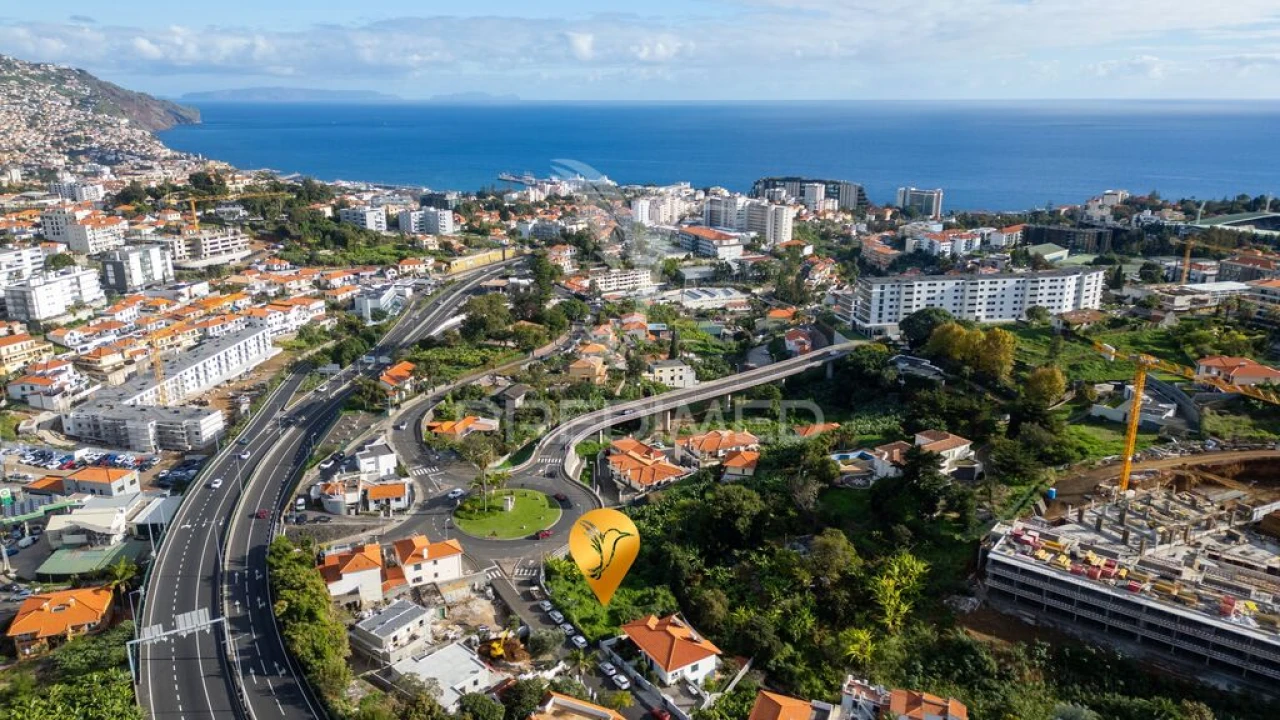 Terreno para Venda em São Martinho Foto 13