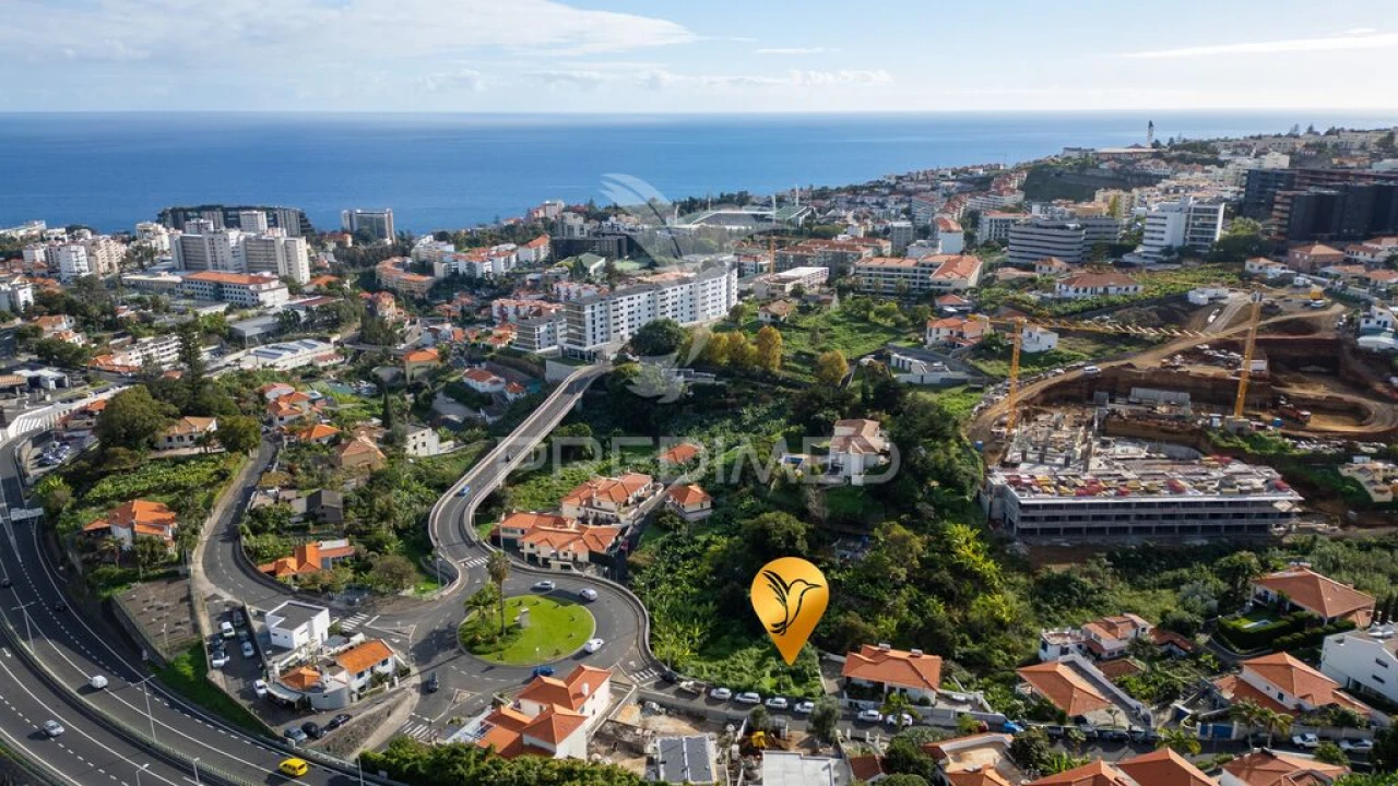 Terreno para Venda em São Martinho Foto 10