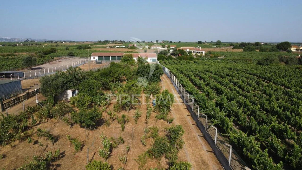 Moradia T2 para Venda em Palmela Foto 17