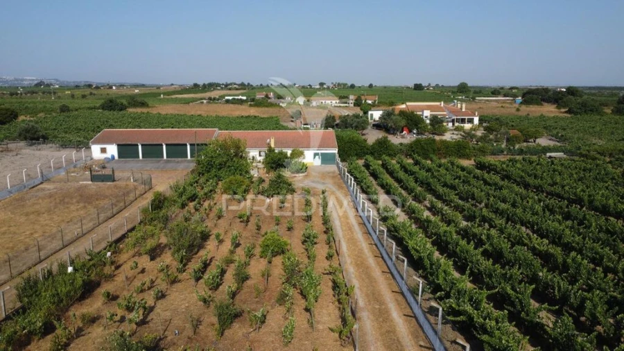 Moradia T2 para Venda em Palmela Foto 4