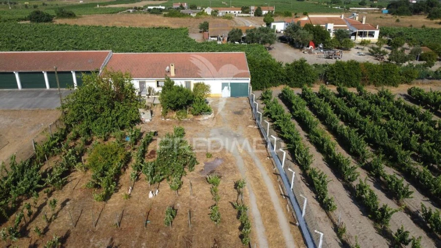 Moradia T2 para Venda em Palmela