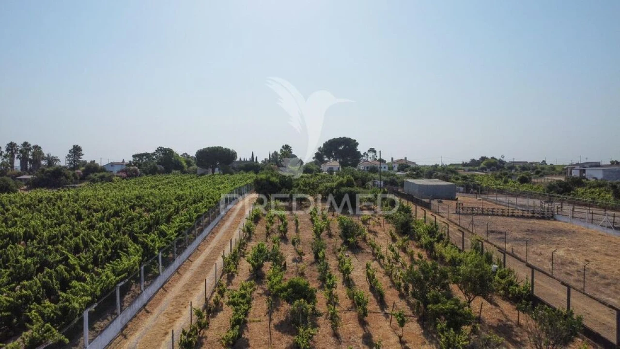 Moradia T2 para Venda em Palmela Foto 6