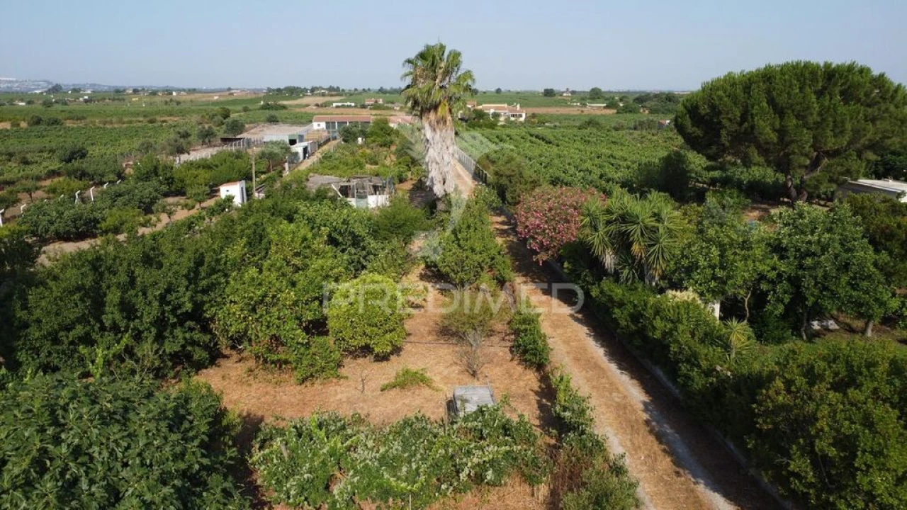 Moradia T2 para Venda em Palmela Foto 13