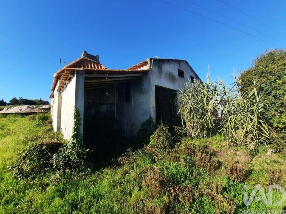 Terreno para Venda em Carvalhal Foto 6