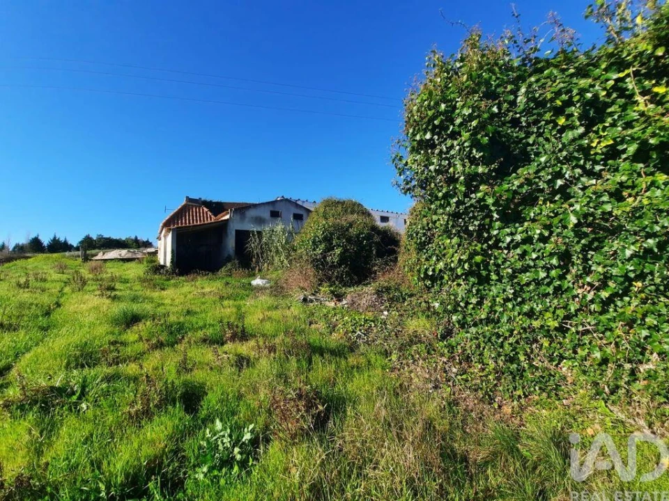 Terreno para Venda em Carvalhal Foto 1