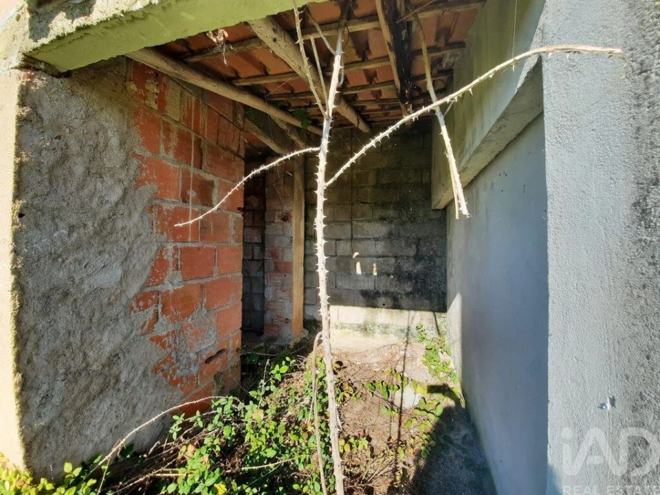 Terreno para Venda em Carvalhal Foto 4