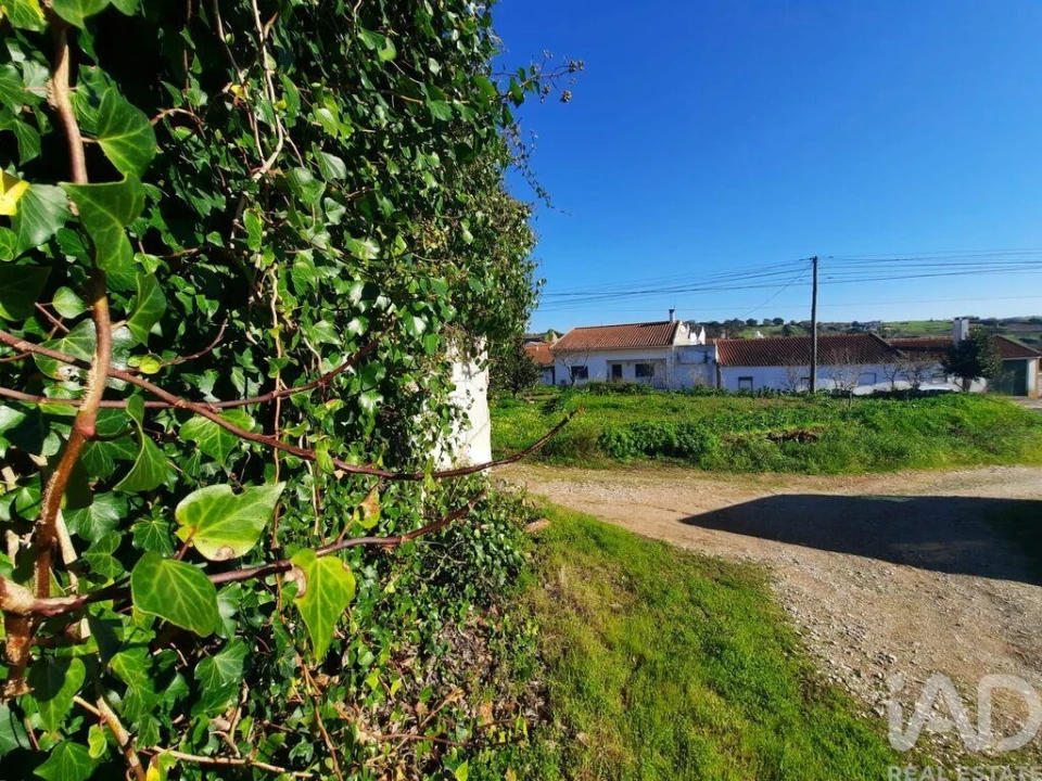 Terreno para Venda em Carvalhal Foto 19