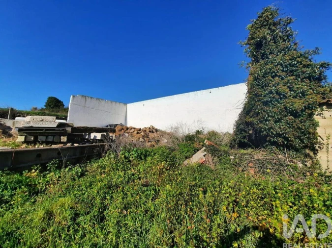 Terreno para Venda em Carvalhal Foto 24