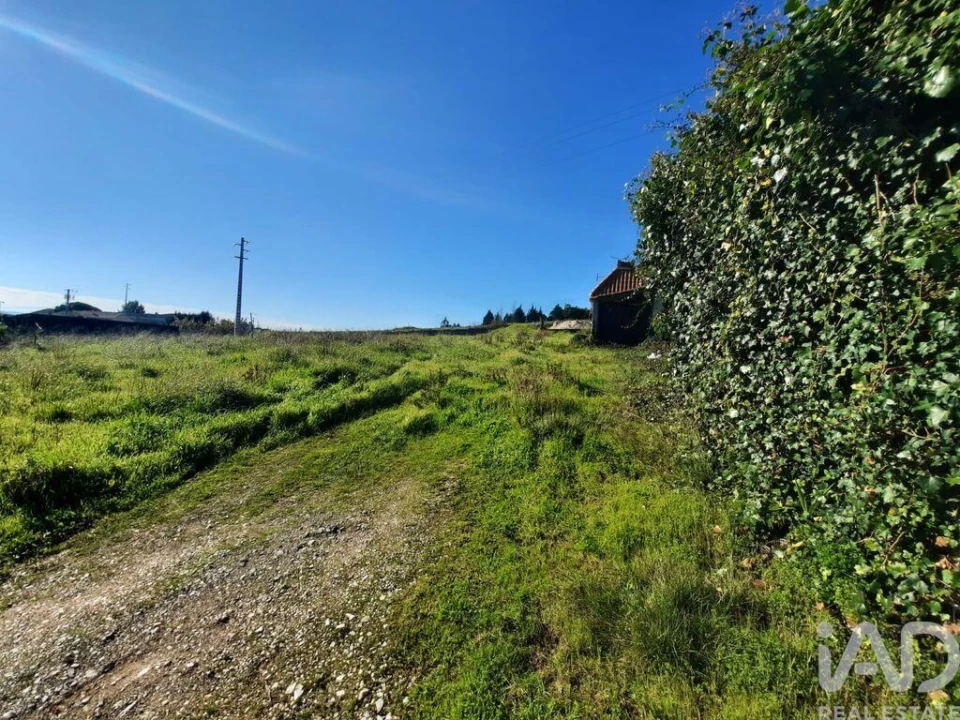 Terreno para Venda em Carvalhal Foto 7