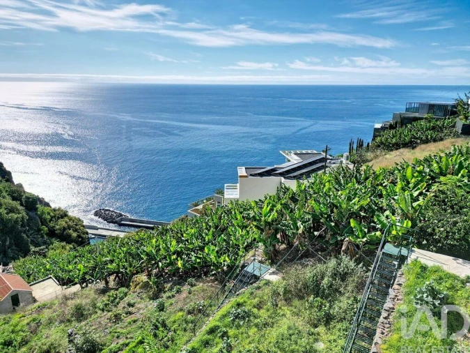 Terreno para Venda em Arco da Calheta Foto 14