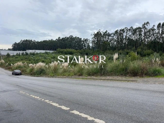 Terreno para Venda em São João de Ver Foto 8