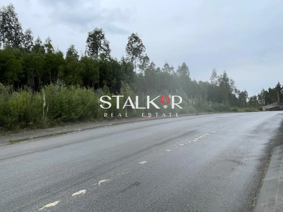 Terreno para Venda em São João de Ver Foto 7