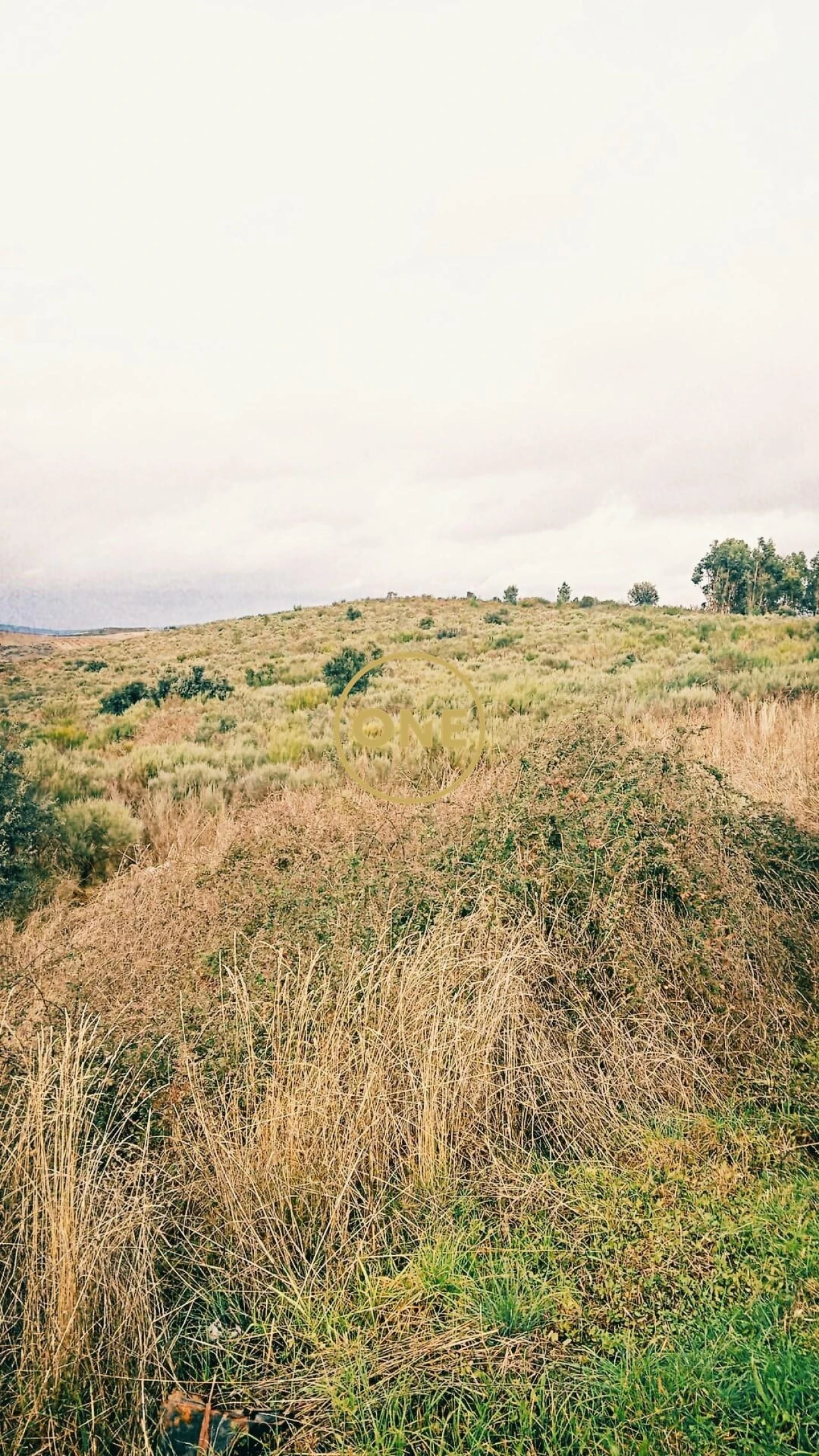 Terreno para Venda em Vila Flor e Nabo Foto 4