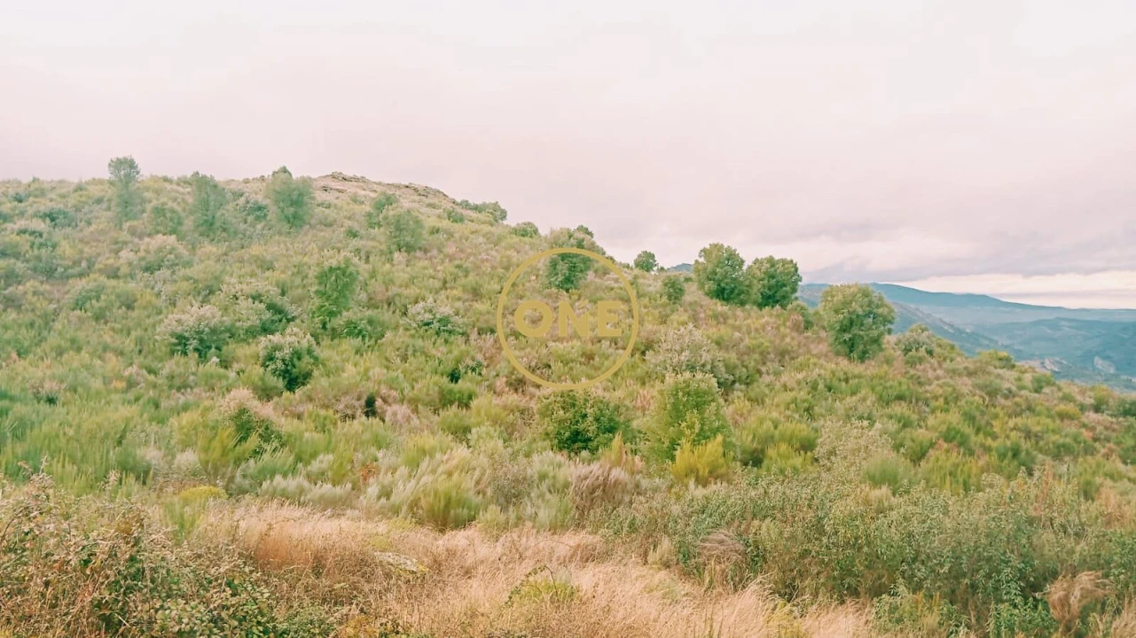 Terreno para Venda em Vila Flor e Nabo Foto 2