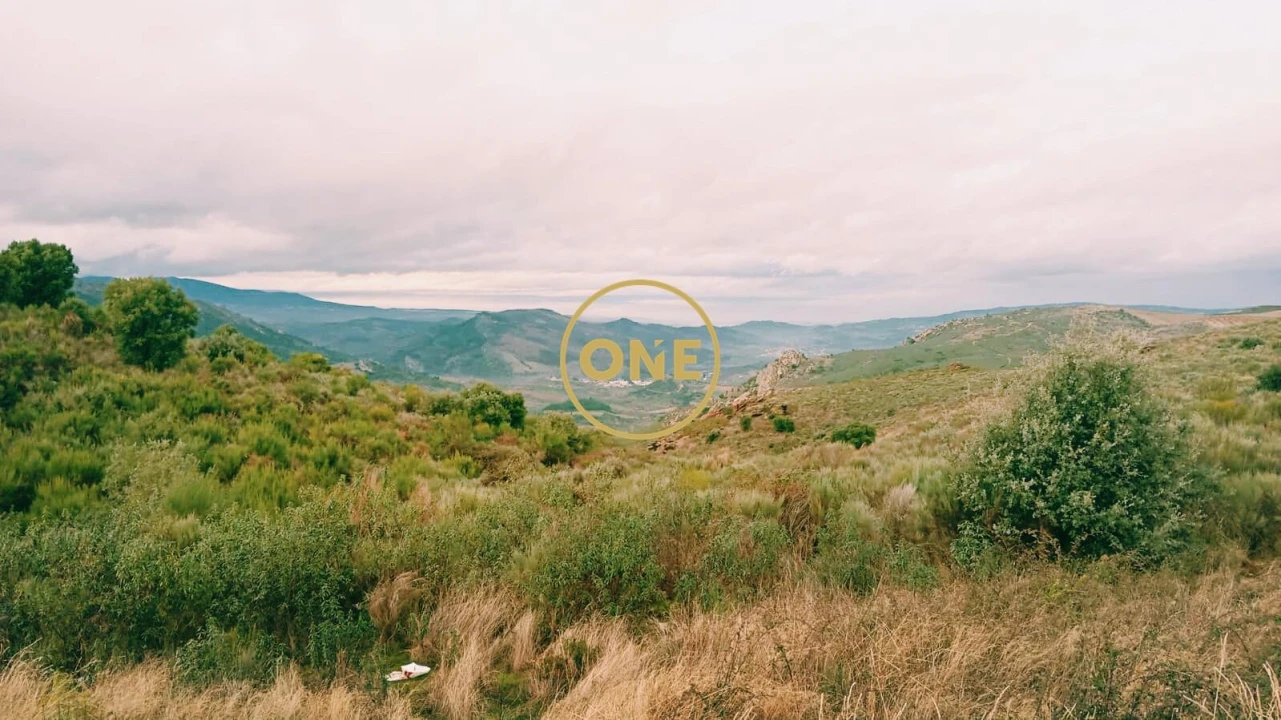 Terreno para Venda em Vila Flor e Nabo Foto 3