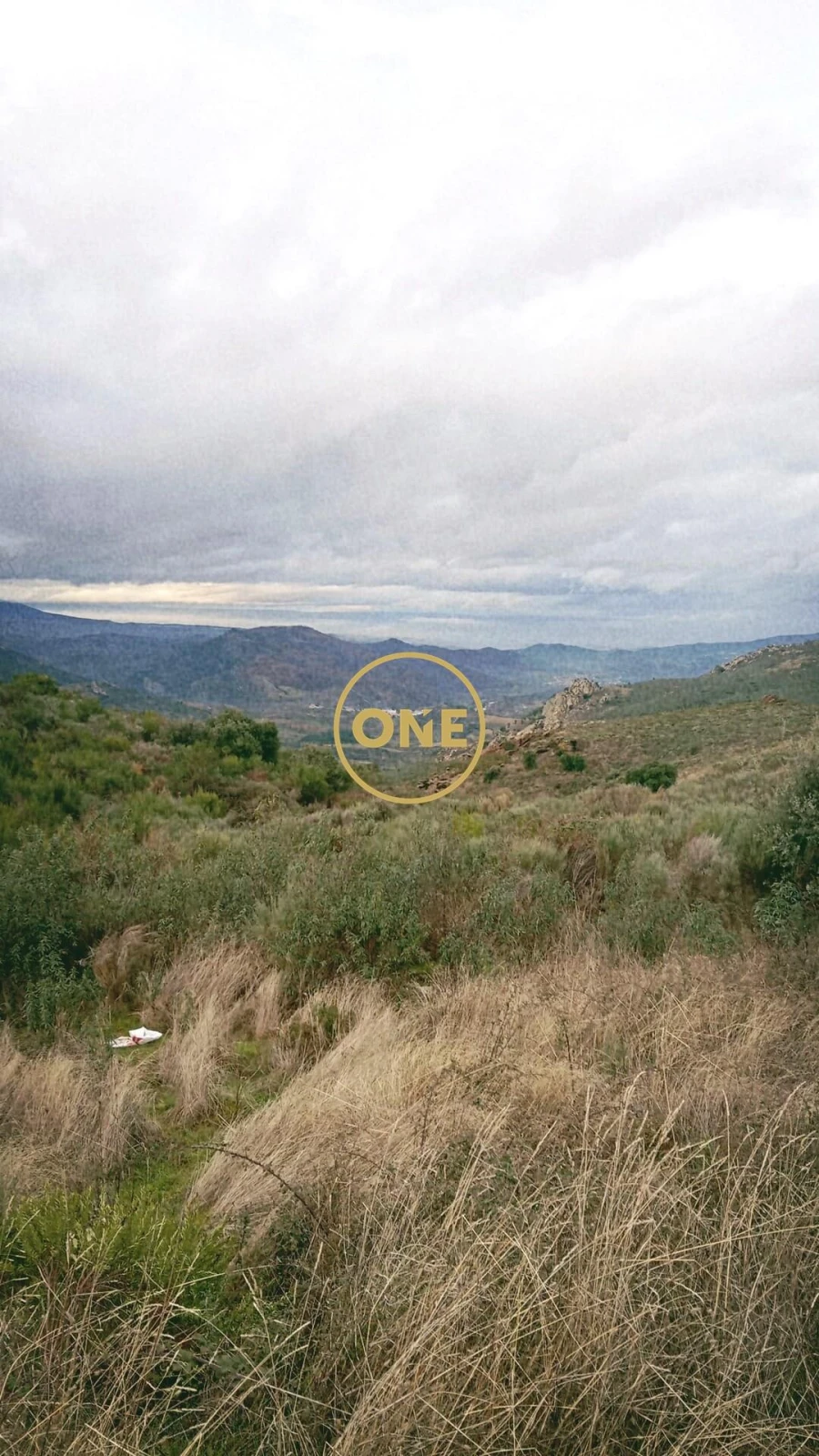 Terreno para Venda em Vila Flor e Nabo Foto 6