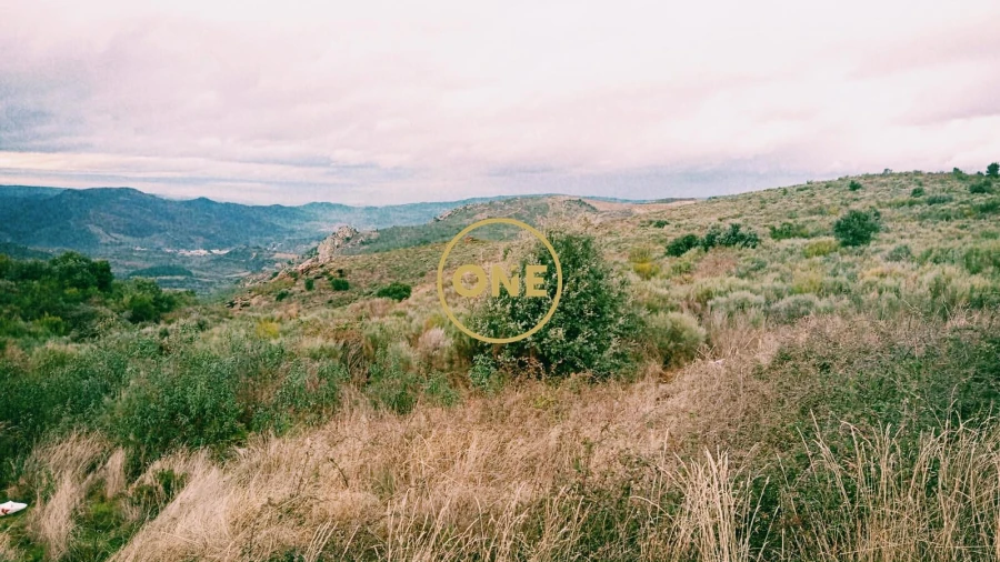 Terreno para Venda em Vila Flor e Nabo
