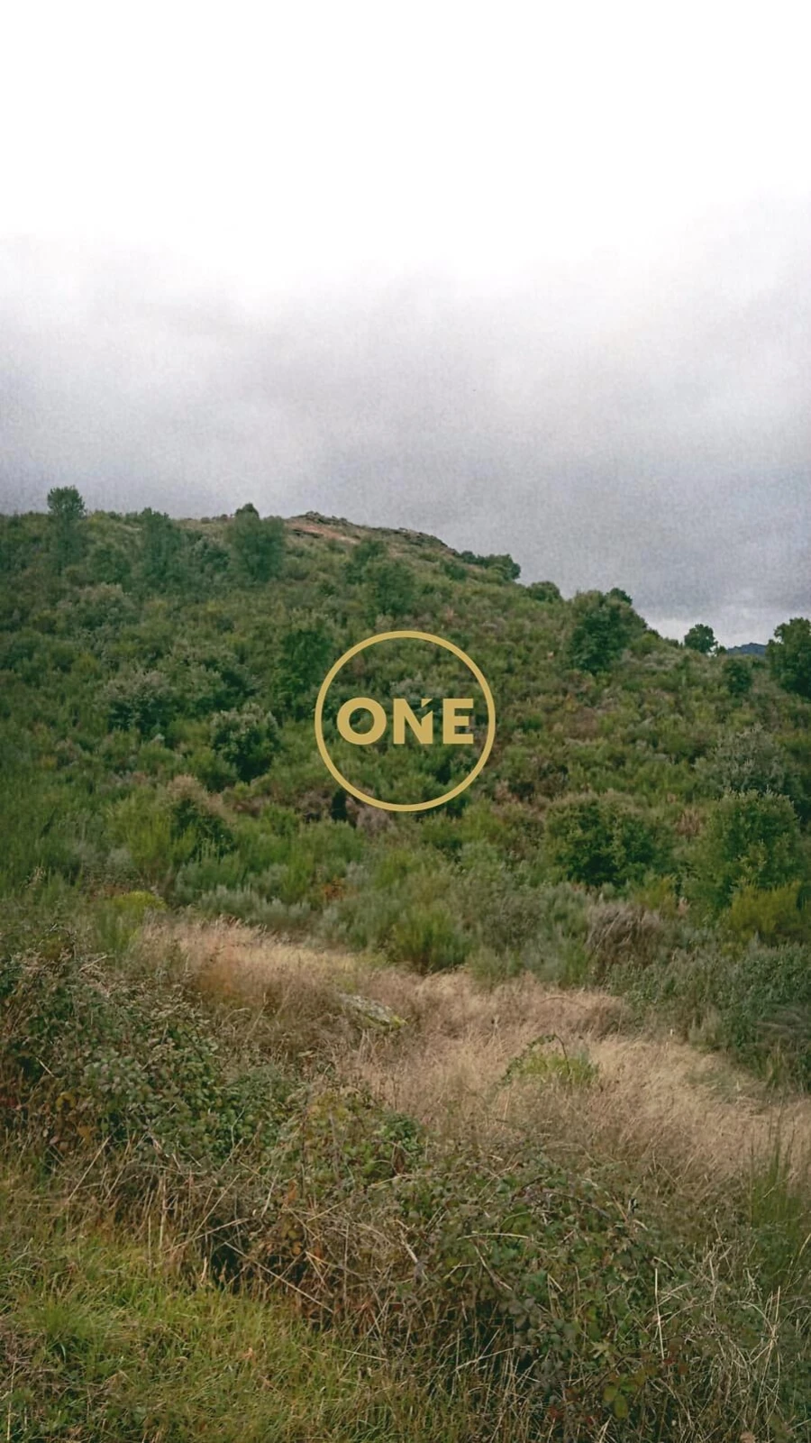 Terreno para Venda em Vila Flor e Nabo Foto 7