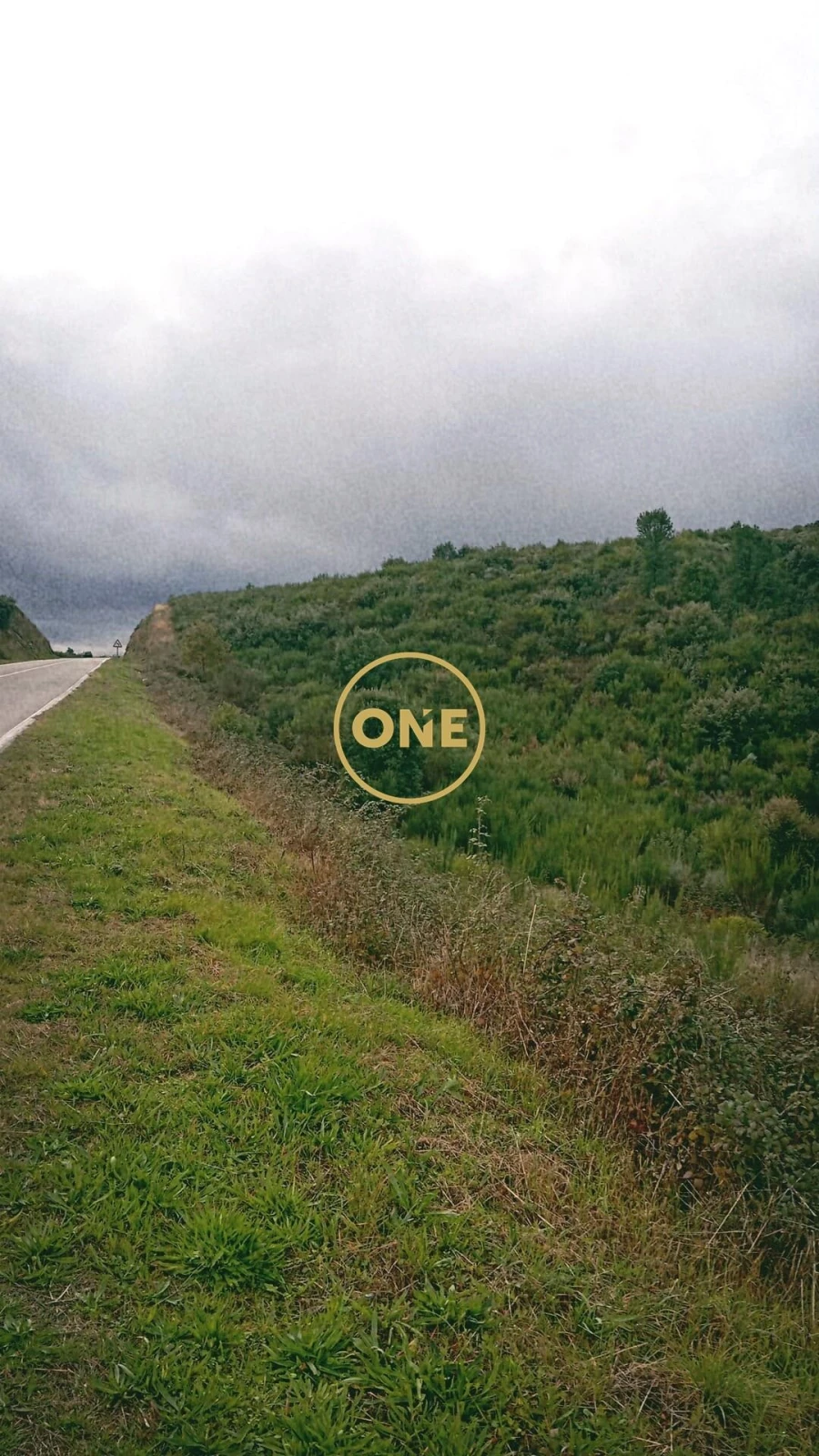 Terreno para Venda em Vila Flor e Nabo Foto 5