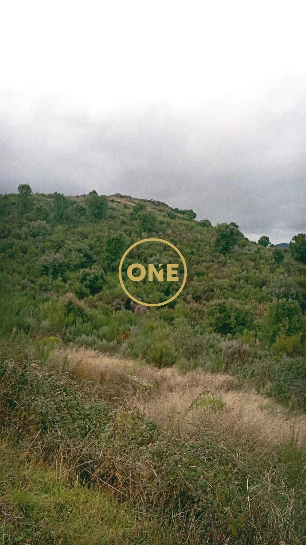 Terreno para Venda em Vila Flor e Nabo Foto 7