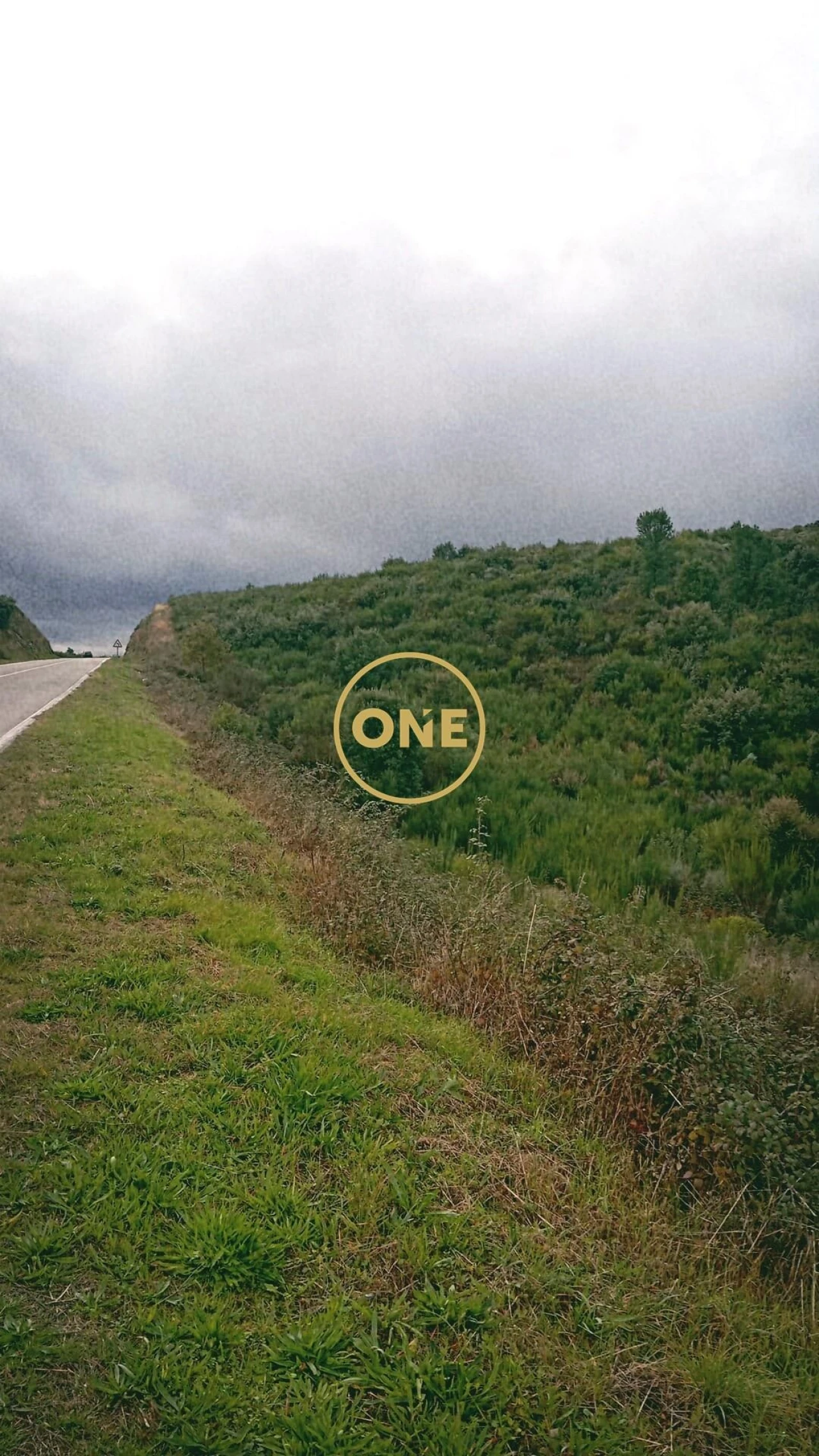 Terreno para Venda em Vila Flor e Nabo Foto 5