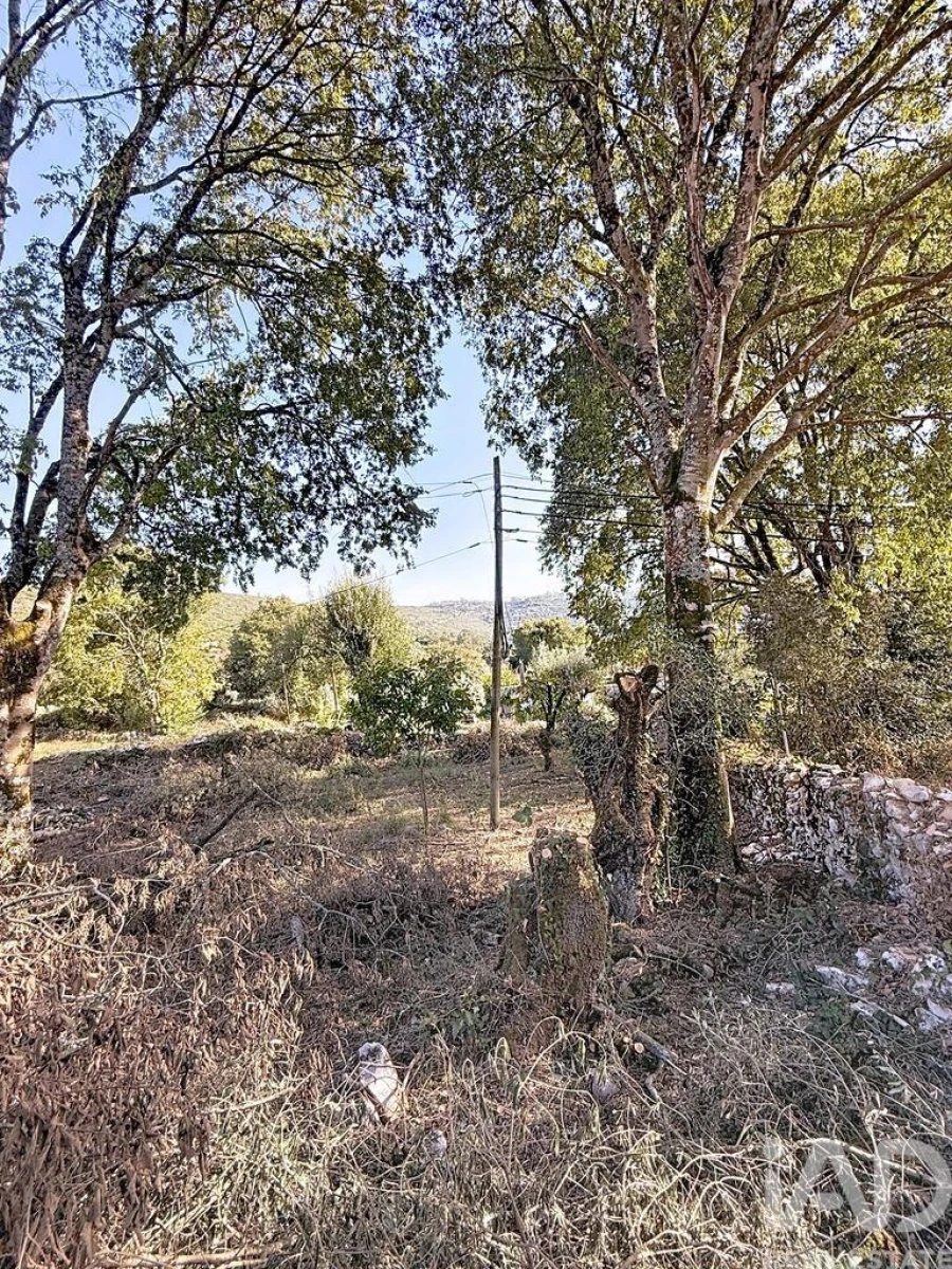 Moradia para Venda em Porto de Mós - São João Baptista e São Pedro Foto 16