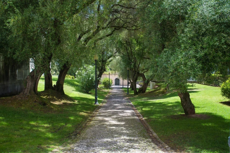 Apartamento T1 para Venda em Alcantara Foto 36